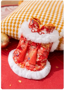 Detail of red pet Tang suit with gold floral embroidery, pearl buckle and white faux fur trim