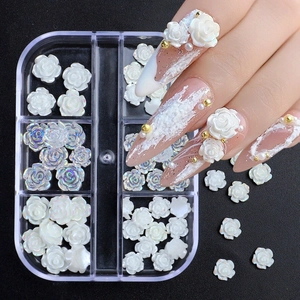 Macro view of 3D rose nail charms and heart designs on long nails in a plastic case