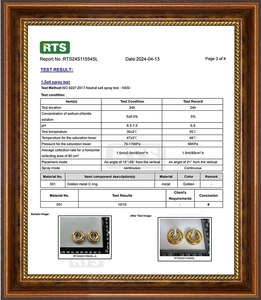 Detail of RTS salt spray test report showing corrosion resistance for golden heart earrings