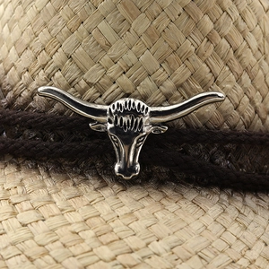 Dettaglio di un teschio di toro argentato sul nastro intrecciato di un cappello da cowboy