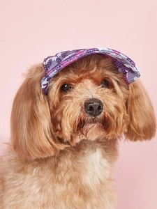 Primo piano di un piccolo cane con cappello floreale viola con fori per le orecchie al sole