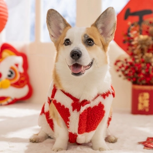 Rote und weiße Schachbrett-Plüschweste für Corgis in einem warmen Neujahrsfest-Ambiente