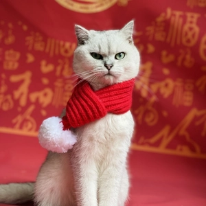 Detail of red and white knitted pet scarf with plush ball for cats and dogs