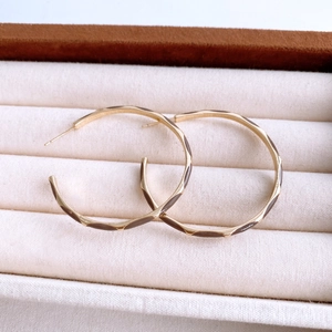 Detailed macro view of golden hoop earrings with brown geometric patterns in a jewelry box