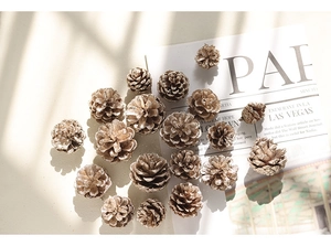 Macro shot of natural decorative pine cones on a magazine for DIY Christmas decor