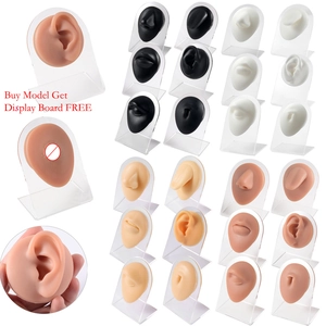 Silicone Human Body Part Piercing Practice Model With Acrylic Display Stand For Jewelry Training Tattoo Simulation