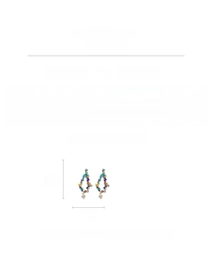 Detailed view of rainbow bead tassel earrings with S925 silver needles and dimensions