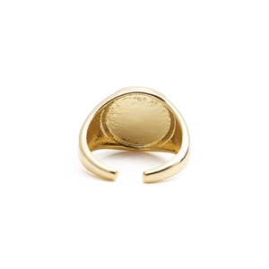 Gold-plated adjustable tortoise seal ring with textured vintage hammered finish