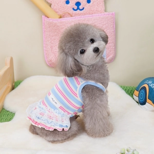 Detailed close-up of the multi-layer white lace hem and striped knit fabric on pet dress
