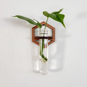 Detail of a hexagonal wooden wall mount with a glass test tube for hydroponic plants