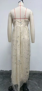 Detail of champagne mesh dress featuring silver star sequins and cross-back straps