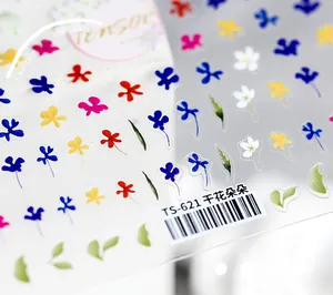 Macro detail of TS-621 ultra-thin nail stickers with colorful dried flower floral patterns
