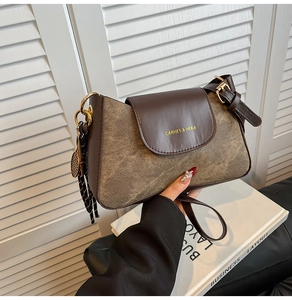 Detail of vintage textured crossbody bag with brown leather flap and golden buckle hardware