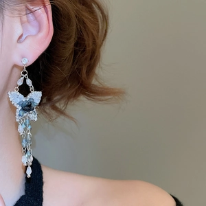 Gros plan détaillé de boucles d'oreilles papillon en cristal à pompons portées