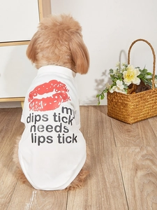 Detail of white mesh pet t-shirt with red lip print and slogan on small dog