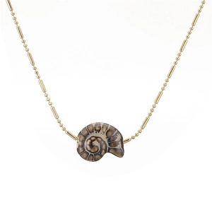 Detailed view of a golden bead chain necklace with a natural ammonite nautilus shell pendant