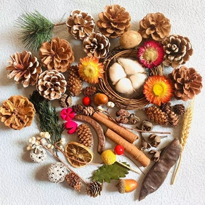 Natural Dried Flowers And Fruits With Pine Cones Cotton Cinnamon Sticks For Christmas DIY Handmade Crafts Photography Props