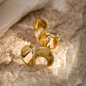 Spiral S-Shaped Wave Stud Earrings 18K Gold Plated Titanium Steel Minimalist Geometric Fashion Jewelry For Women