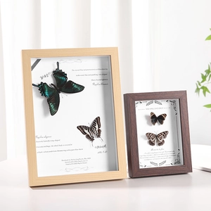 Artistic wood butterfly shadow box frames featuring Papilio ulysses and Blumei specimens