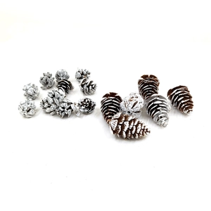 Detail of assorted natural and white frosted pine cones for Christmas DIY crafts decor