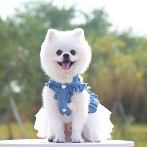 Detail of pet denim dress with white mesh tutu skirt and ruffle trim for small dogs