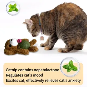 Plush bear catnip toy with bell and catnip ball for indoor cats to play and relieve stress