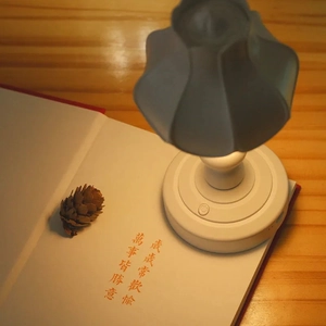 Mini lampada da tavolo LED a forma di petalo con luce calda su libro e legno scuro