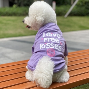 Purple pet t-shirt with I Give Free Kisses print worn by a dog on a bench