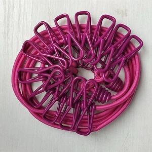 Macro view of portable elastic clothesline with twelve rose red metal clips for travel