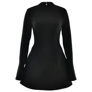 Chic black long-sleeved turtleneck mini dress with structured fit and A-line silhouette