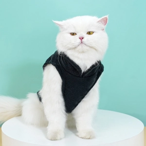 Detail shot of a black fleece pet vest worn by a white cat on a bright platform
