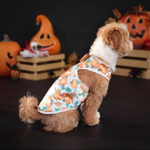 Close-up of Halloween pet dress with orange pumpkin patterns and golden glitter bow
