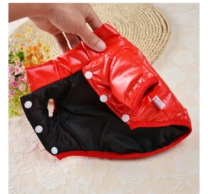 Détail du doudoune rouge imperméable pour animaux avec doublure noire et boutons