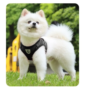 Detail view of black mesh dog harness with paw print logo on a white Pomeranian outdoors