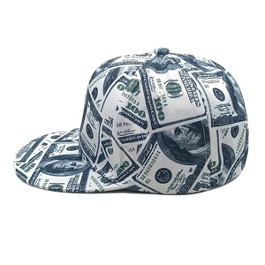 Detail view of the bill print on the flat brim snapback cap with dollar patterns
