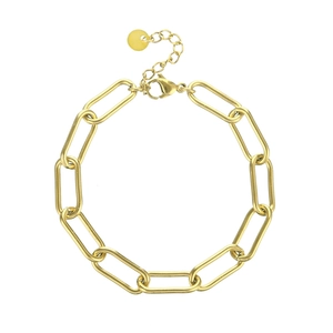 Detail of gold paperclip chain bracelet with adjustable clasp and small round tag