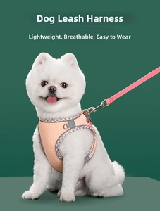 Detail of pink breathable mesh dog harness with reflective trim and nylon leash