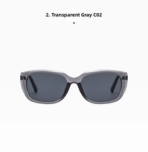 Detailansicht der transparent grauen rechteckigen Sonnenbrille mit Modellmarkierung C02