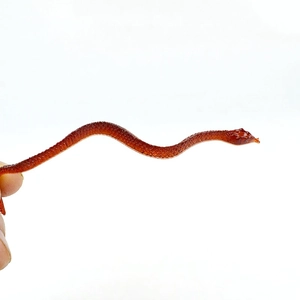 Close-up of brown plastic toy snake with realistic scale texture for Halloween pranks