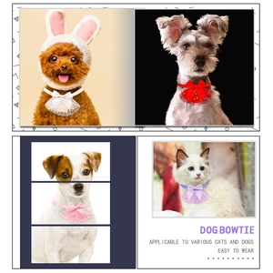 Star pattern mesh pet bowtie collar for cats and dogs in various macaron colors