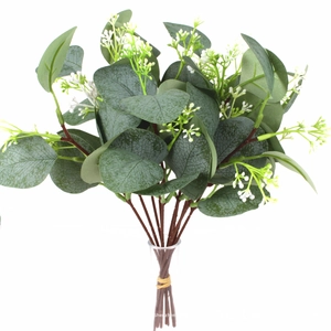Detailed view of eucalyptus stems with deep green round leaves and small white berries