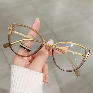 Women's cat-eye sunglasses with transparent brown frame and gold metal temples
