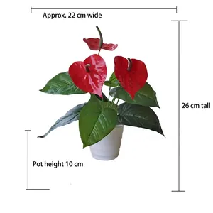 Artificial red anthurium plant in white ceramic pot measuring 26cm height and 22cm width
