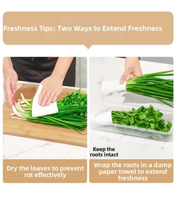 Detail of clear storage container showing herb preservation steps for green onions