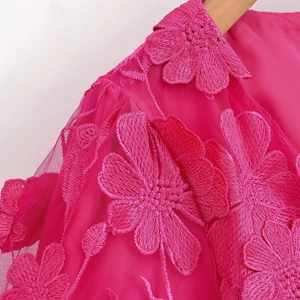 Détail de la dentelle rouge rose et broderie florale 3D sur le tissu en mesh