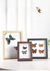 Three wooden butterfly specimen frames in natural, walnut and black finishes for home decor