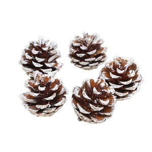 Set of five natural pine cones with white snow-tipped scales for Christmas tree decoration
