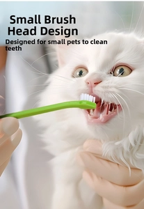 Detail of ergonomic green pet toothbrush with small head for cleaning cat teeth