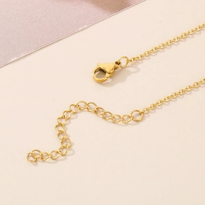 Macro shot of gold stainless steel necklace with adjustable chain and lobster clasp