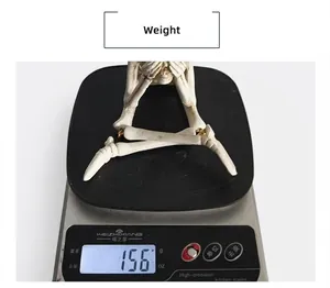 Detailed view of resin skull skeleton figurine weight measurement 156g on scale
